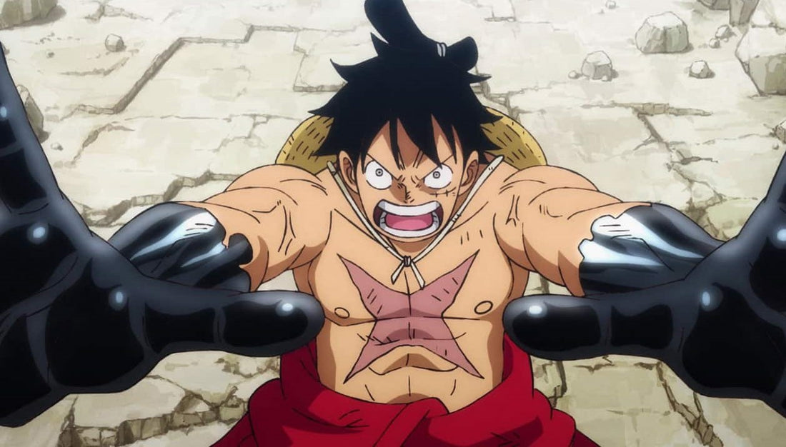 luffy cicatrice torse