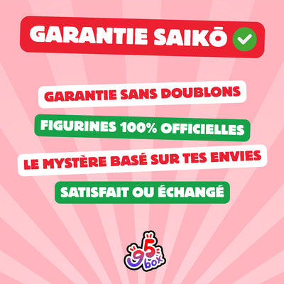 Box figurine manga officielle